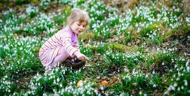 Ein Ritual an Ostern: Eier suchen (Foto: istock by Getty / romrodinka)